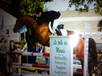 Fleur de Capucine  RETRAITÉE