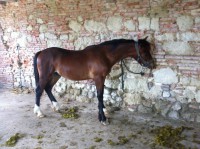 CLIN D OEIL D ENVIE    CONFIE